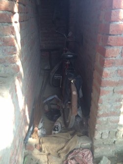Alo - Vrindavan - October 2015 and April 2016 - 6
