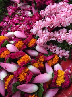 Archangel Michael day in Vrindavan - september 2016 - 5