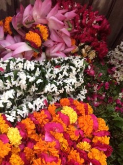 sacred day of Dwadasi - october 2016 - 13