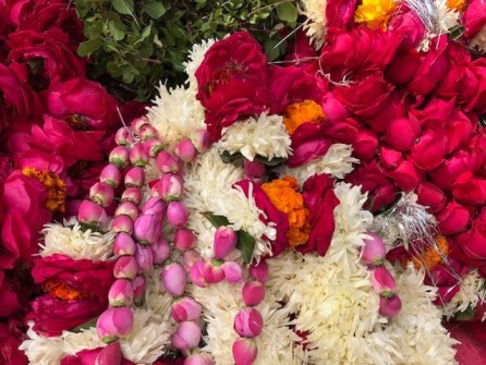 Our monthly visit to Vrindavan - december 2017 - 8